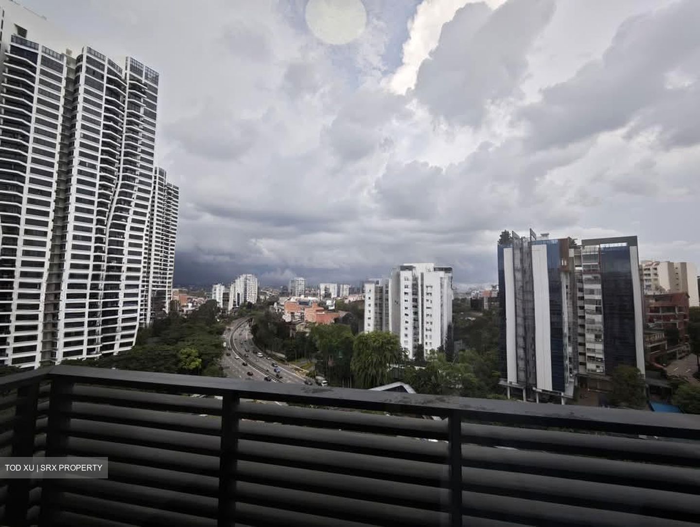 Leedon Green (D10), Condominium #566094471